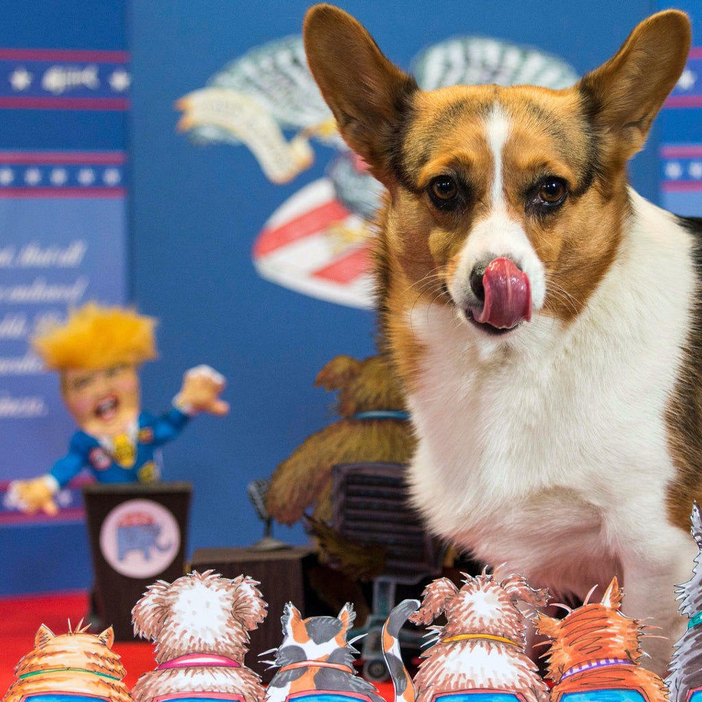 Political Parody Toys<br>For Dogs